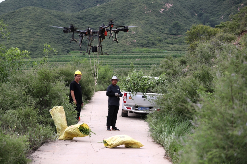 在石家莊市井陘縣吳家窯鄉(xiāng)長(zhǎng)峪村荒山造林現(xiàn)場(chǎng)，一名無(wú)人機(jī)手操控?zé)o人機(jī)運(yùn)輸樹(shù)苗。王保龍攝