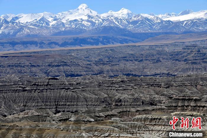 4月5日，西藏阿里札達(dá)土林?！±盍?攝