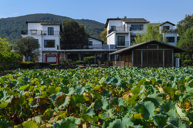 雨悅山房負(fù)責(zé)人原來在馬達(dá)加斯加打理酒店，之所以“從馬達(dá)加斯加到肥東”，源于對(duì)家鄉(xiāng)民宿前景看好。吳芳攝