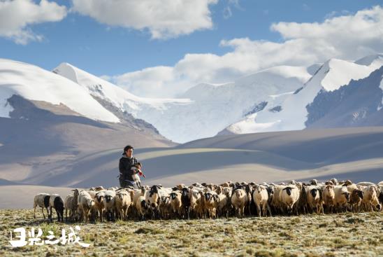 治愈你的不止曠野，更是真實的生活