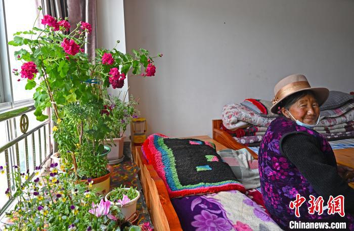 圖為曲松縣特困人員集中供養(yǎng)中心老人德吉卓嘎與她的花?！≮w朗 攝