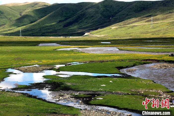 監(jiān)測顯示:6月青海省草地產草量較近五年略增
