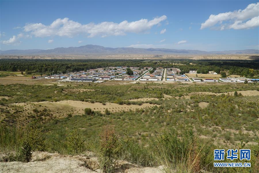 (決戰(zhàn)決勝脫貧攻堅·圖文互動)(2)高原鄉(xiāng)鎮(zhèn)沙珠玉 治沙斗貧成“綠海”——青海省共和縣沙珠玉鄉(xiāng)采訪見聞