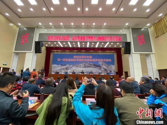 圖為祁連山國(guó)家公園第一屆自然觀察節(jié)開(kāi)幕式現(xiàn)場(chǎng)?！±罱瓕帯z 　　