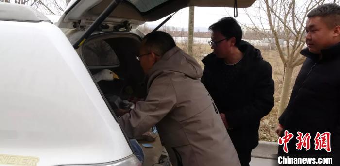 圖為民警救助國家二級保護(hù)動物——大天鵝。青海省公安廳森林警察總隊供圖