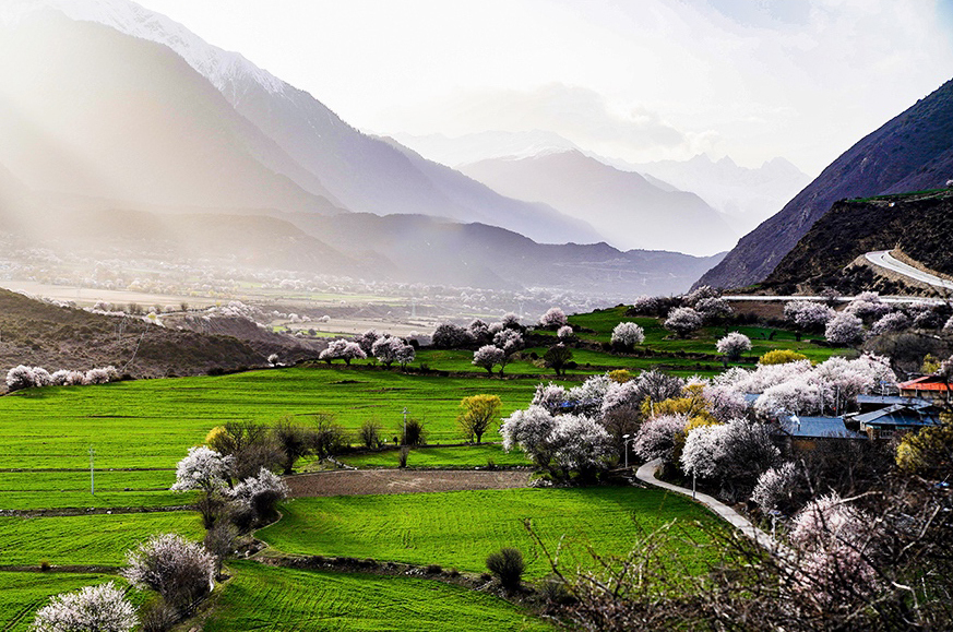 西藏林芝市波密縣傾多鎮(zhèn)八朵卡的田園風(fēng)光（攝于4月5日）。新華網(wǎng) 達(dá)娃攝.jpg