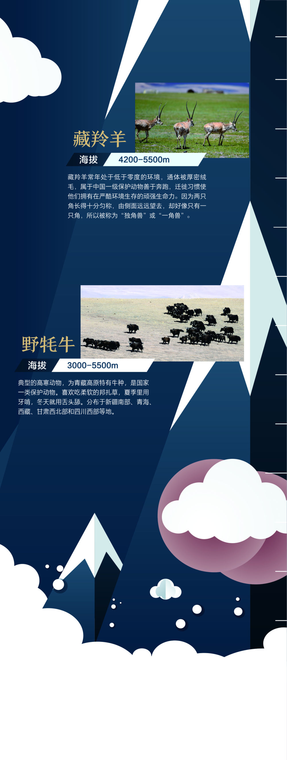 地球第三極:8000米落差造就的生物多樣性之美