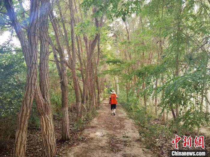 戈壁灘上的護(hù)林員：以前風(fēng)吹睜不開眼，現(xiàn)在滿眼皆綠色