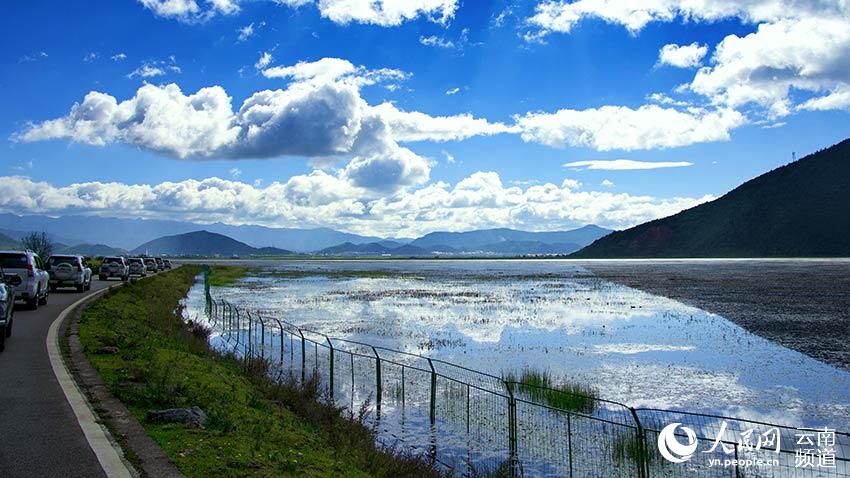 納帕海濕地。呂昊辰攝