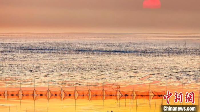 江蘇鹽城被譽(yù)為金灘銀蕩、魚(yú)米之鄉(xiāng)。　鹽城市委宣傳部供圖