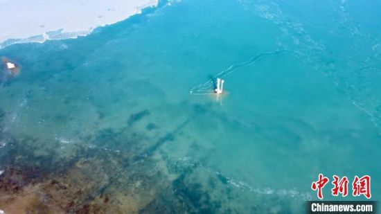 圖為冬日青海湖?！±罱瓕帯z