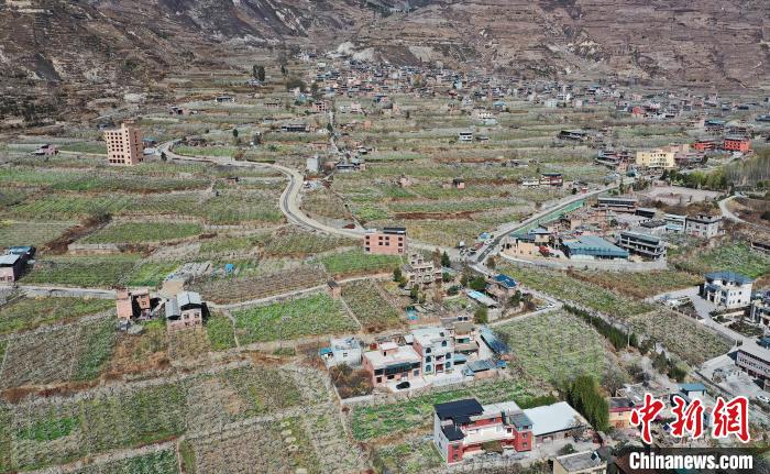 潔白的李花與村寨交相輝映，勾勒出一幅美麗的和諧生態(tài)畫(huà)卷。　何清海 攝