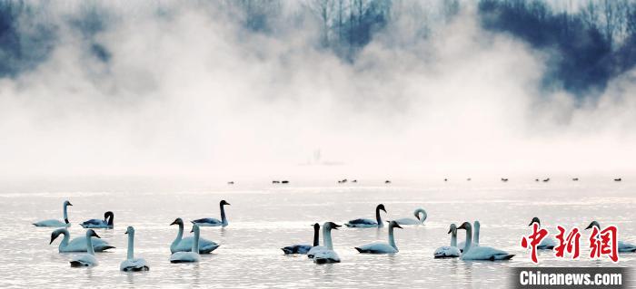 青海提出復(fù)蘇河湖生態(tài)環(huán)境:保障生態(tài)流量加快地下水治理