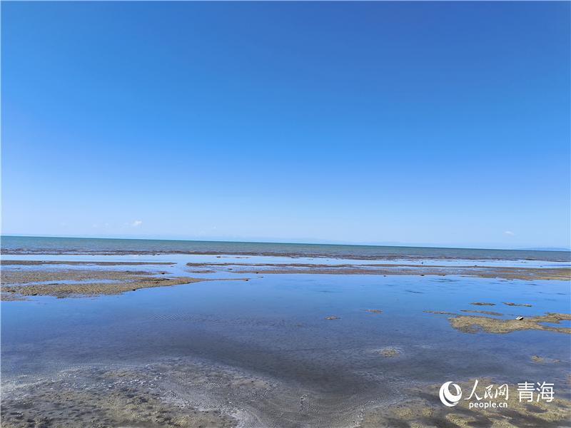   青海湖仙女灣。人民網(wǎng) 張莉萍攝