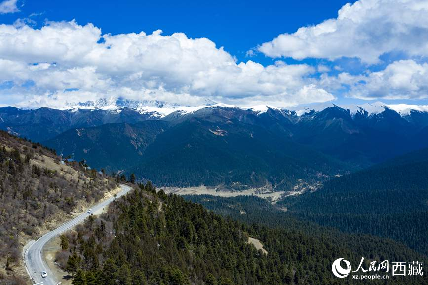圖為在海拔4700多米的色季拉山，觀測(cè)從森林到草甸的多種植被類型。