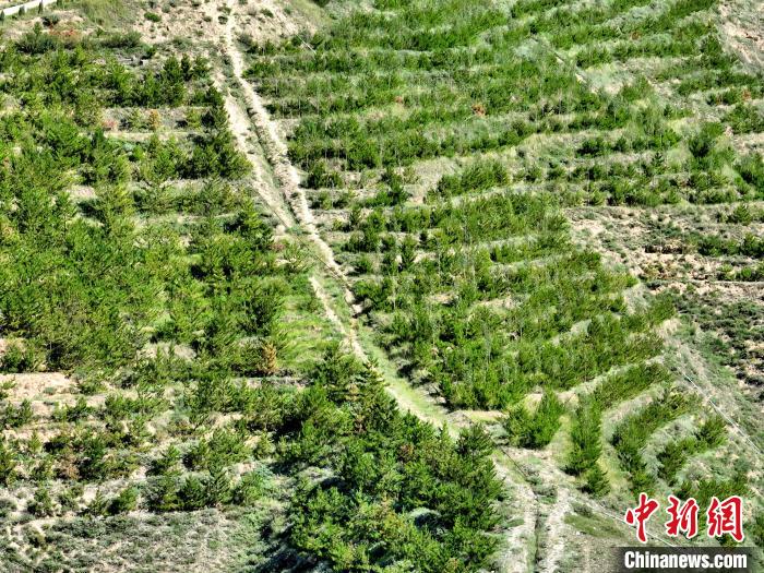 航拍建行青海省分行綠化區(qū)?！∑钤鲚?攝