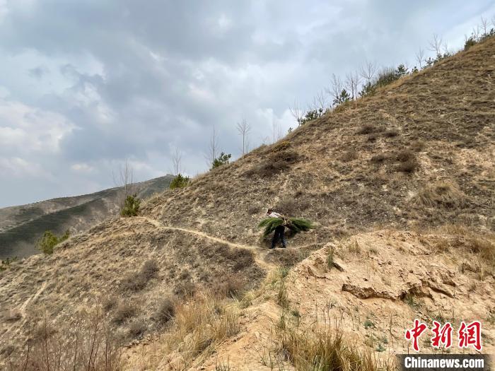 資料圖為建行青海省分行綠化區(qū)施工隊(duì)隊(duì)員人工運(yùn)樹苗?！〗ㄐ星嗪Ｊ》中泄﹫D