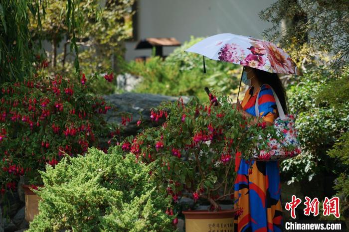 圖為市民在西寧園林植物園內(nèi)賞花拍照?！●R銘言 攝