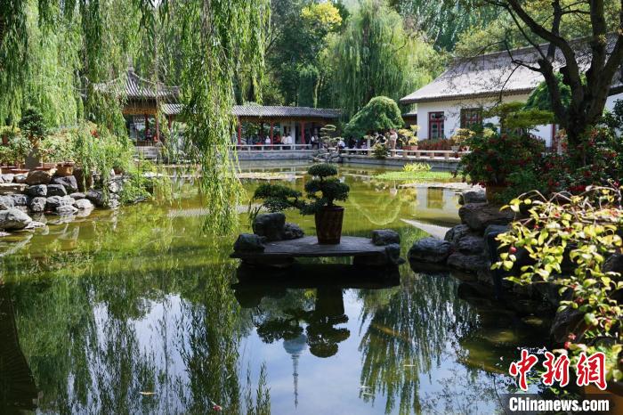 圖為西寧園林植物園秋日風(fēng)景別有韻味?！●R銘言 攝