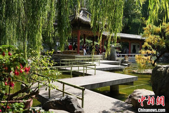 圖為西寧園林植物園秋日風(fēng)景別有韻味?！●R銘言 攝