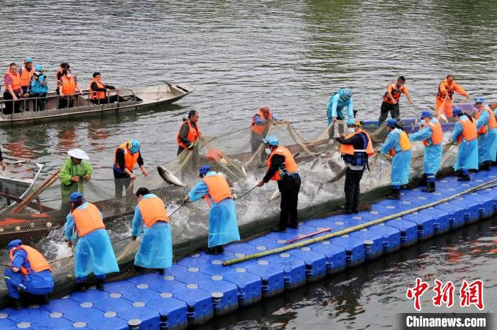捕撈現(xiàn)場?！≈鬓k方供圖