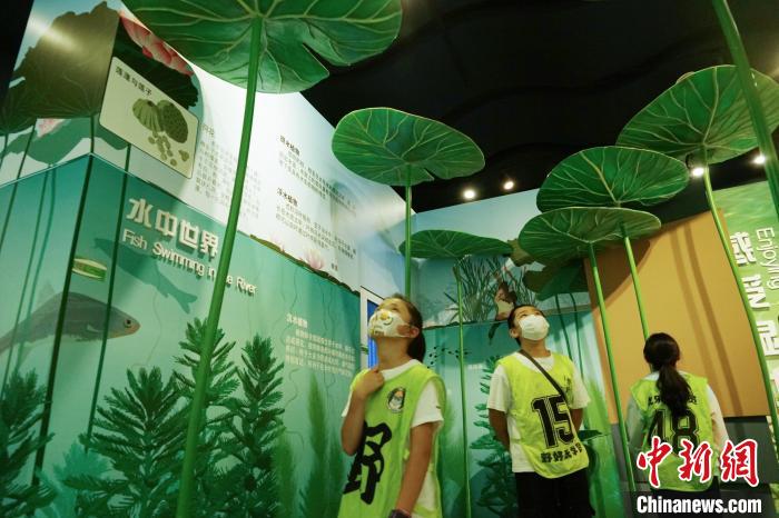 圖為小朋友在青海西寧湟水國(guó)家濕地公園科普館內(nèi)參觀學(xué)習(xí)?！●R銘言 攝