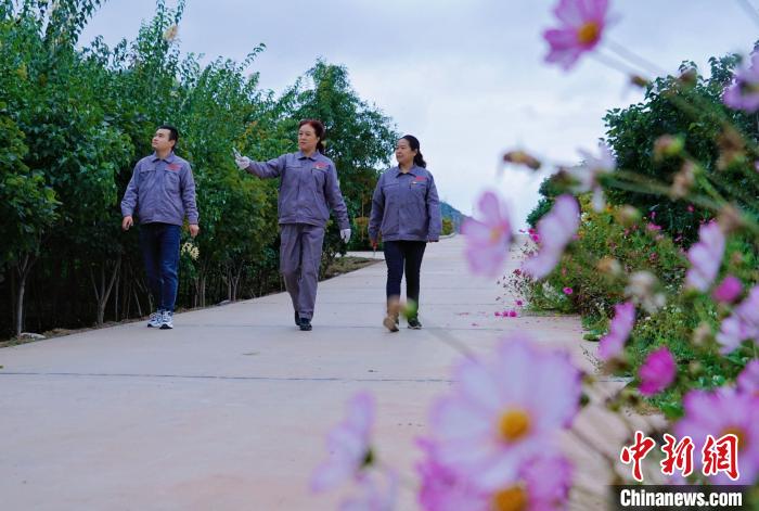 圖為張錦梅(中)與同事在西寧北山查看丁香樹?！●R銘言 攝