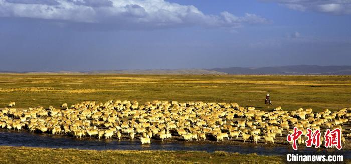 青?，敹唷鞍渍渲椤弊尠傩斟X(qián)袋鼓起來(lái)