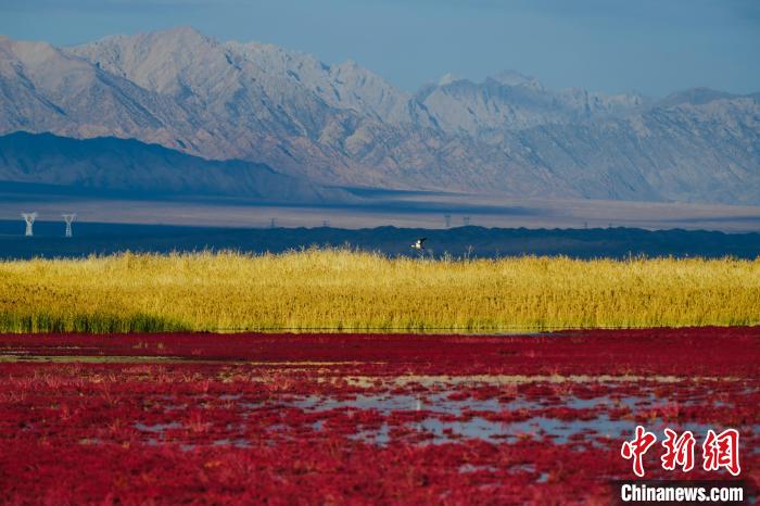 圖為柴達(dá)木盆地可魯克湖?！」?攝