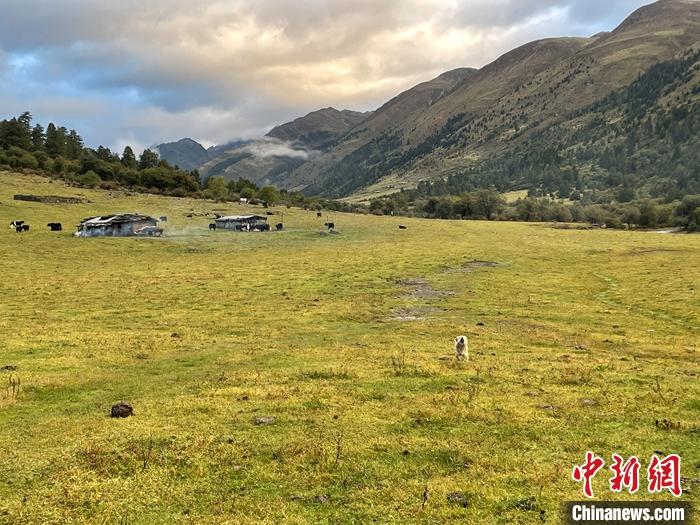 圖為9月27日新沾牧場的早晨景色。 <a target='_blank' href='/'><p  align=