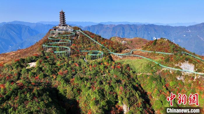 巴山大峽谷彩林迎來最佳觀賞期。　姚盛 攝