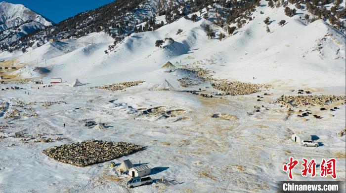 圖為無人機航拍牧場?！《继m縣融媒體中心供圖