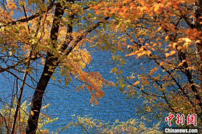 松坪溝風(fēng)光。　劉通 攝