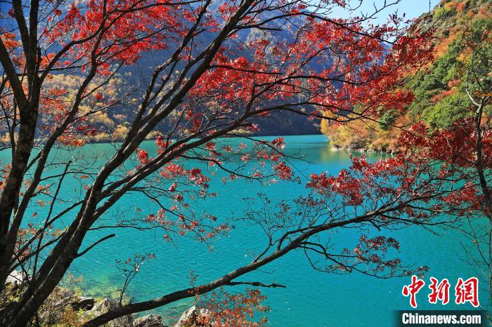 松坪溝風(fēng)光?！『吻搴?攝