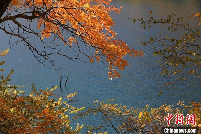 松坪溝風(fēng)光?！⑼?攝