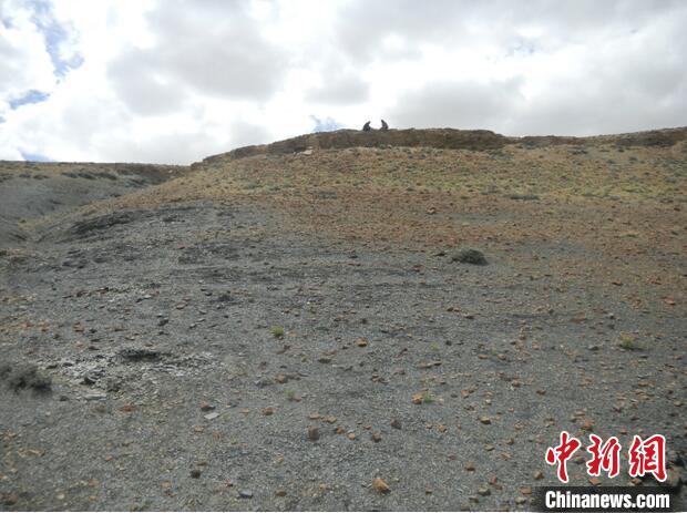 圖為本次研究的藏南曲布剖面二疊紀末期黑色頁巖。　南古所 供圖