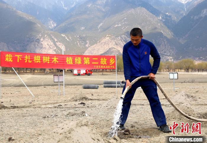 林芝市巴宜區(qū)森林消防中隊(duì)志愿服務(wù)隊(duì)澆水灌溉。　西繞拉翁 攝
