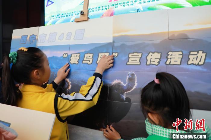 圖為學(xué)生通過拼圖游戲了解鳥類知識?！●R銘言 攝