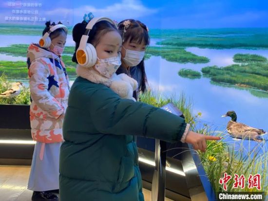 圖為學生在西寧市第一中學濕地科普宣教館內參觀?！±罱瓕?攝