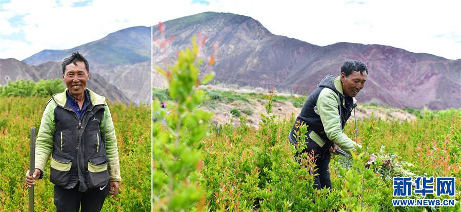 (脫貧攻堅·圖片故事)(7)雪域高原脫貧影像志