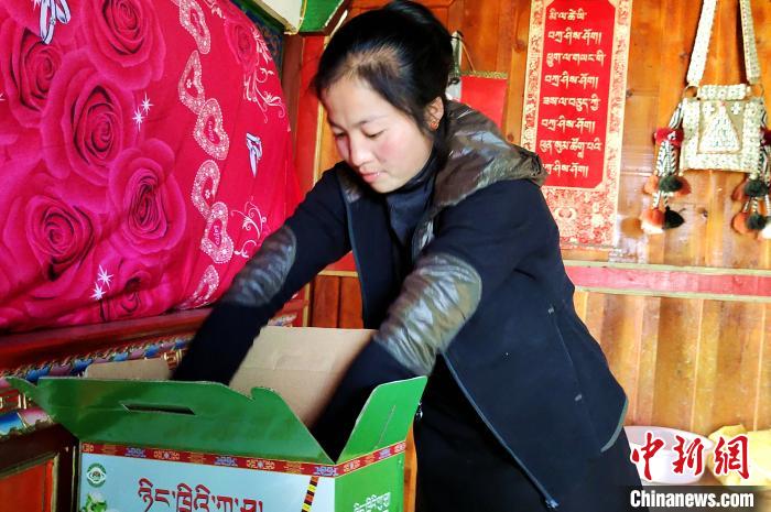 圖為通麥村村民巴桑拉姆把精心挑選的蘋果裝箱?！∝暽＠?攝