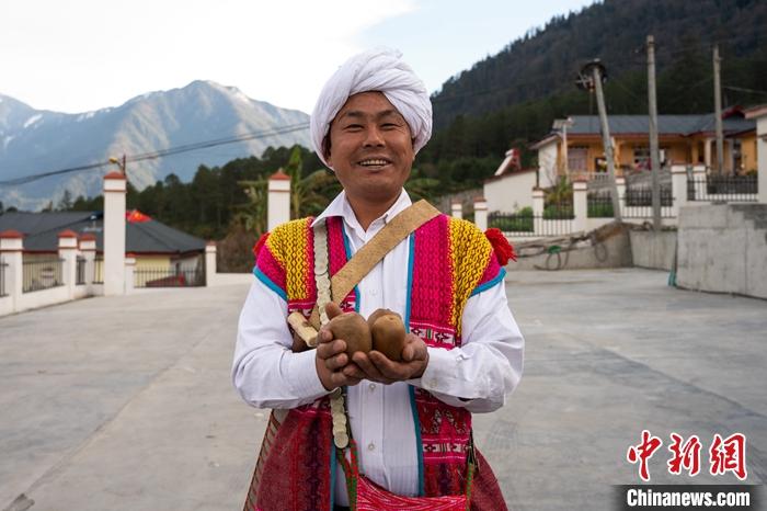 1月29日，京都村委會主任阿胖正在展示該村種植的獼猴桃。<a target='_blank' ><p  align=