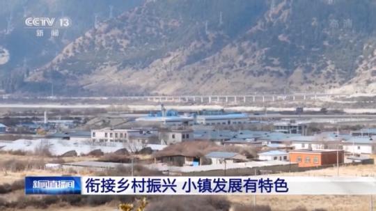 種蘑菇、養(yǎng)駱駝...。。特色產(chǎn)業(yè)助力鄉(xiāng)村振興走新路