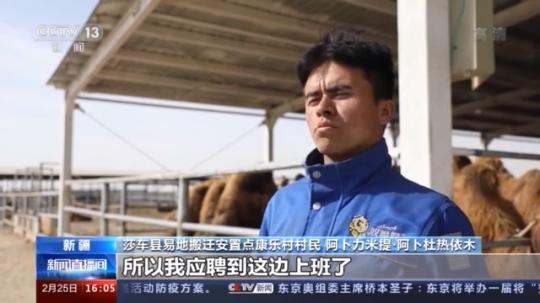 種蘑菇、養(yǎng)駱駝...。。特色產(chǎn)業(yè)助力鄉(xiāng)村振興走新路