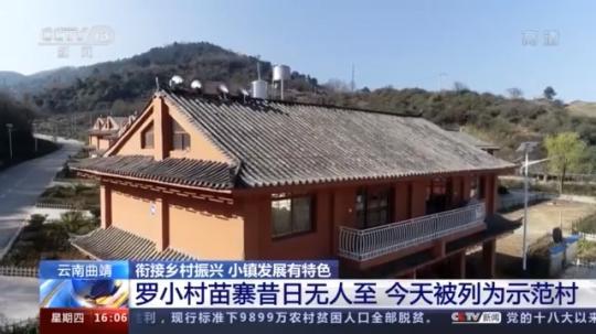 種蘑菇、養(yǎng)駱駝...。。特色產(chǎn)業(yè)助力鄉(xiāng)村振興走新路