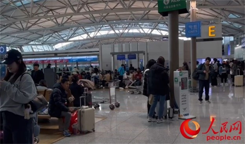 11月29日，繁忙的仁川機場。人民網(wǎng) 李帆攝
