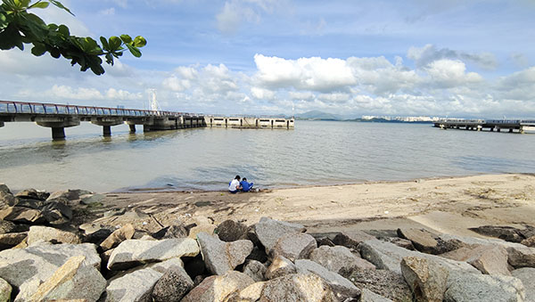 深圳紅樹林灘涂，留給了孩子們親近自然的空間。人民網(wǎng)記者 李彤攝