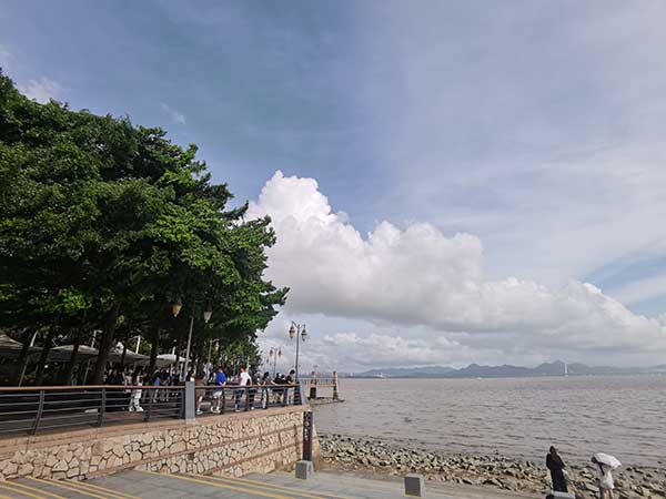 紅樹林灘涂沿線一角。人民網(wǎng)記者 張素玲攝