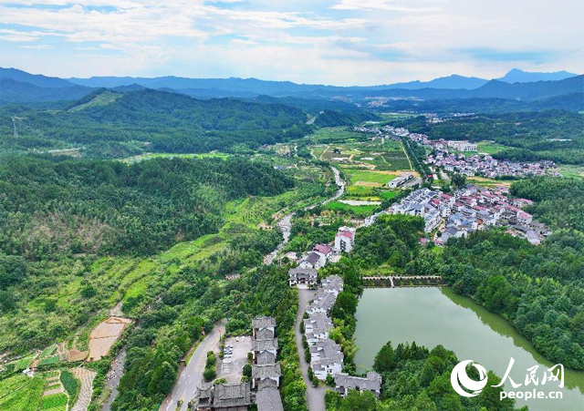 資溪縣森林資源豐富，森林覆蓋率達(dá)87.7%，有林地資源168萬畝。人民網(wǎng) 朱海鵬攝