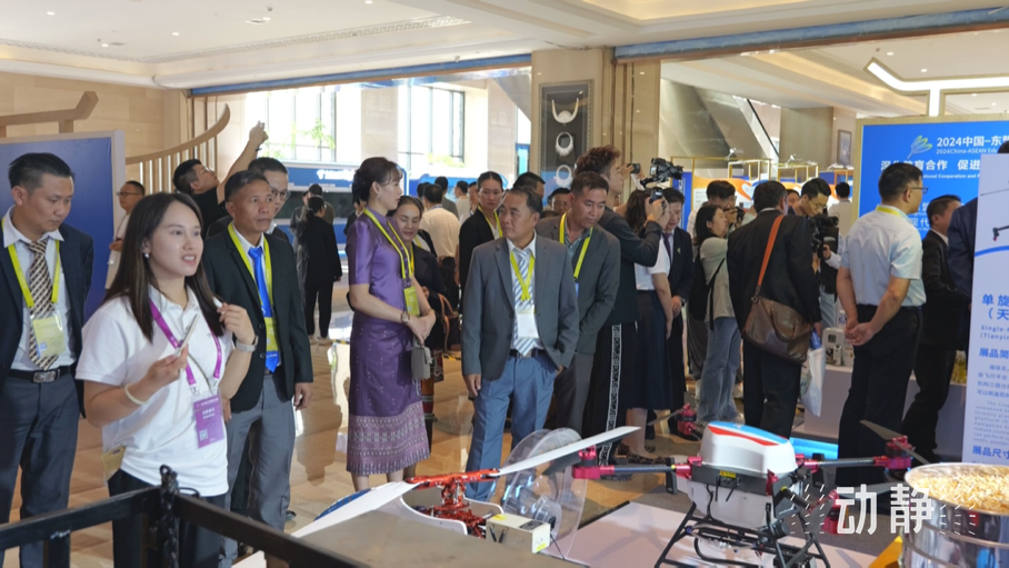 展示成果分享經(jīng)驗，中國—東盟教育交流周深化合作共創(chuàng)未來！